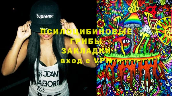 эйфоретик Алзамай