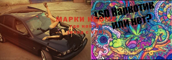 эйфоретик Алзамай