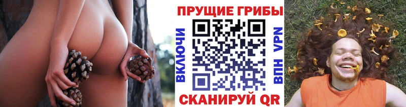 Галлюциногенные грибы мухоморы  ОМГ ОМГ tor  Инта 